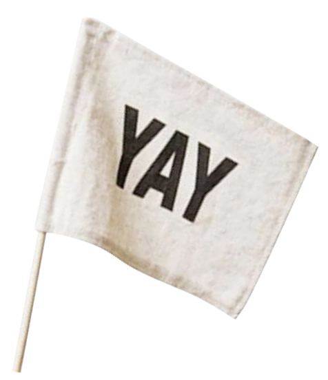 YAY Flag